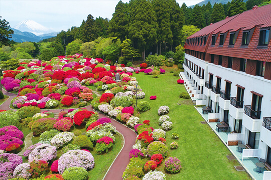 ツツジとシャクナゲが花開く「小田急 山のホテル」