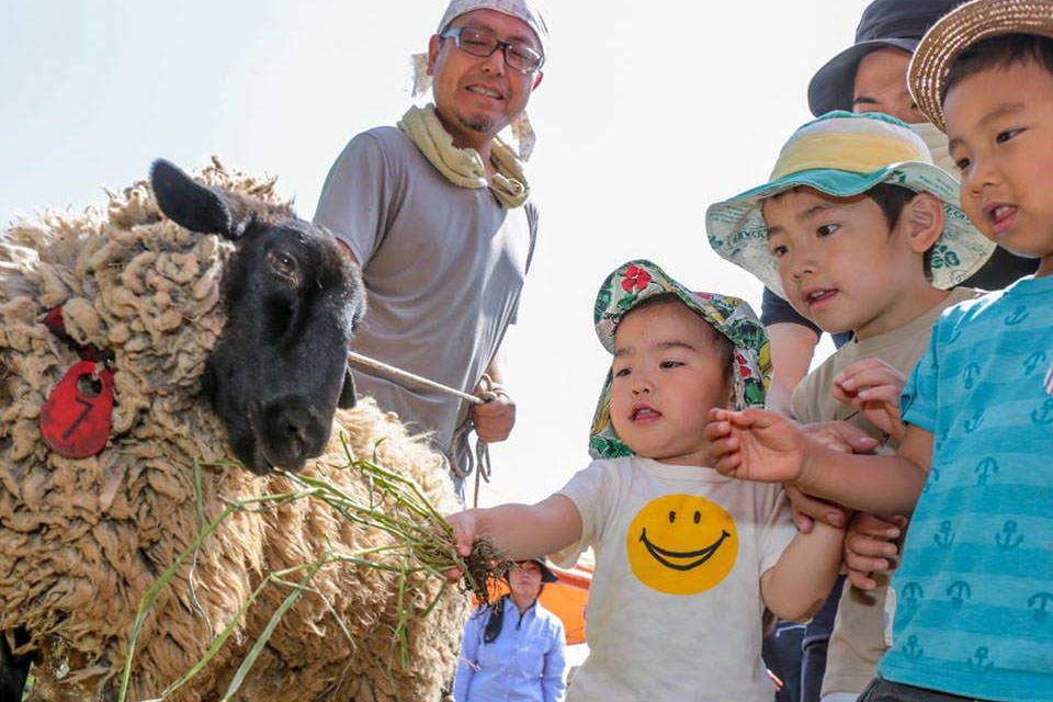 多摩丘陵の自然が豊かな公園や緑地が溢れる町田市 の画像