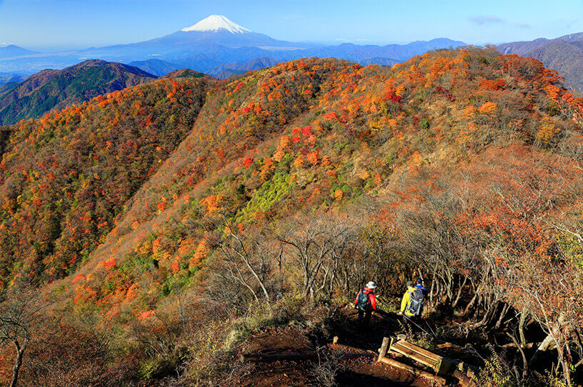 紅葉も美しい親子で行きたい小田急沿線の登山スポット3選の画像