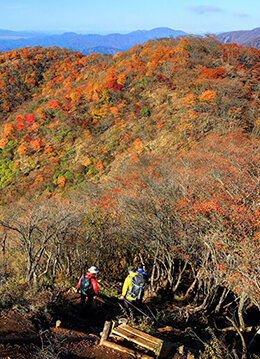 紅葉も美しい親子で行きたい小田急沿線の登山スポット3選