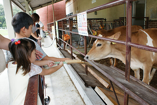 休日のおでかけにぴったり　子どもが動物とふれあえるスポット3選