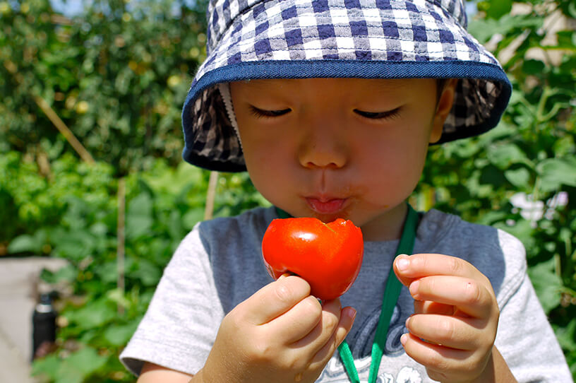 親子で野菜づくりが楽しめる小田急沿線の貸菜園3選の画像