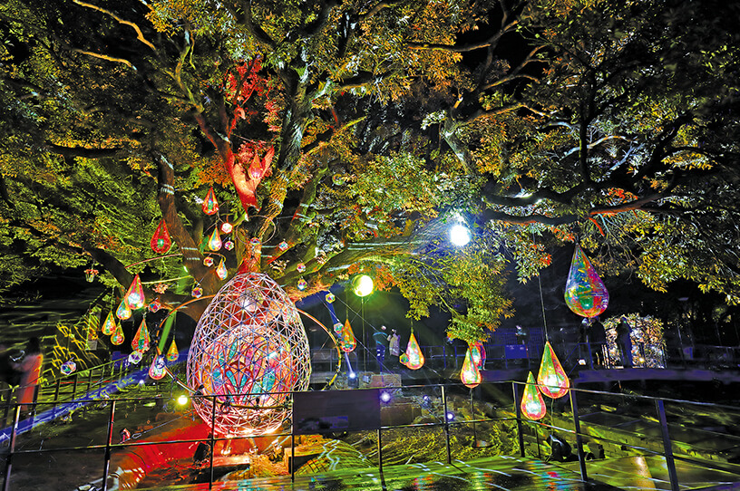 光のフェス「湘南の宝石」のラストを飾るイベントの画像
