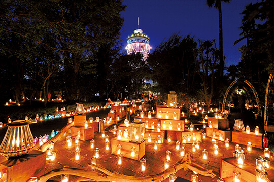 江の島で約1万基のキャンドルが灯るイベントが開催