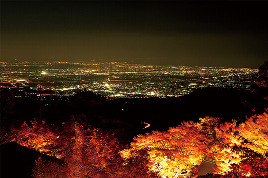 大山で楽しむライトアップされた幻想的な紅葉