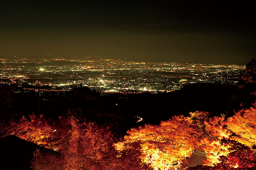 大山で楽しむライトアップされた幻想的な紅葉の画像