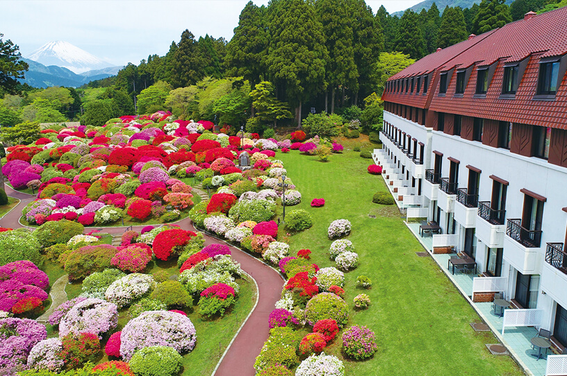 ツツジとシャクナゲが花開く「小田急 山のホテル」の画像