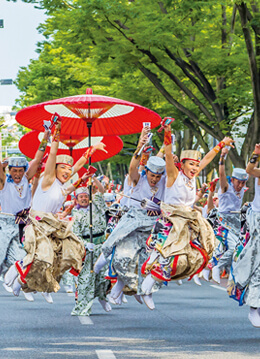 明治神宮夏の奉納祭り3年ぶりのスーパーよさこい