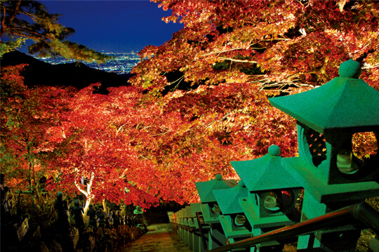 大山の紅葉と眼下の夜景が同時に楽しめるライトアップ