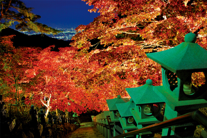 大山の紅葉と眼下の夜景が同時に楽しめるライトアップの画像