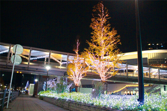 海老名駅のイルミネーション 東西をつなぐ光の回廊