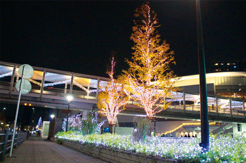 海老名駅のイルミネーション 東西をつなぐ光の回廊の画像