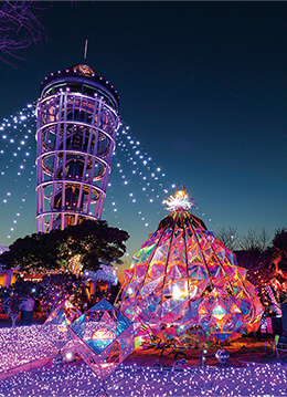 江の島周辺にこぼれる光と夜景が織りなす物語