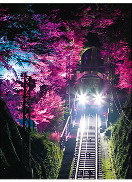 沿線の木々をライトアップするケーブルカーの眺望