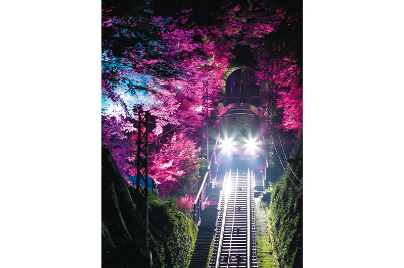 沿線の木々をライトアップするケーブルカーの眺望