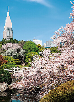 約900本の桜が植えられる日本初の西洋庭園