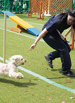 100店舗を超えるショップが参加するドッグイベント