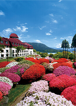 小田急 山のホテルでツツジとシャクナゲを楽しむ