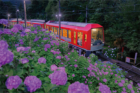 初夏の風物詩「夜のあじさい号」が6月中旬から運行