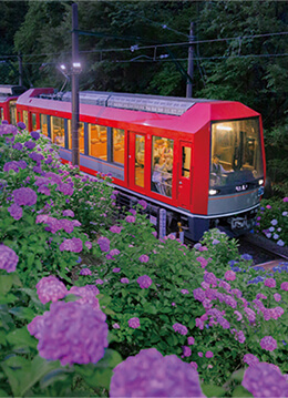 初夏の風物詩「夜のあじさい号」が6月中旬から運行
