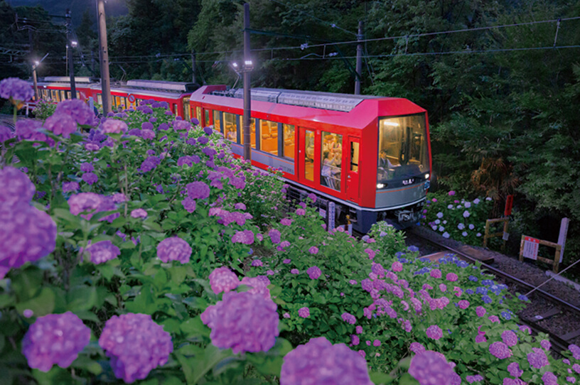 初夏の風物詩「夜のあじさい号」が6月中旬から運行