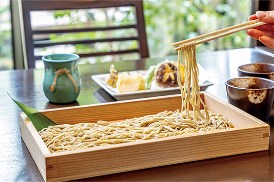 豊かな香りをまとう 小田急沿線の新そば7選