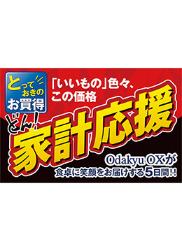 とっておきのお買得商品をそろえた大感謝祭