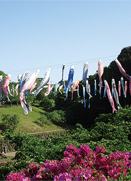 空を泳ぐこいのぼりと一緒に楽しめる春のイベント