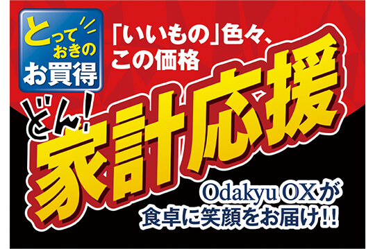こだわり商品を大特価でお届けする大感謝祭を開催