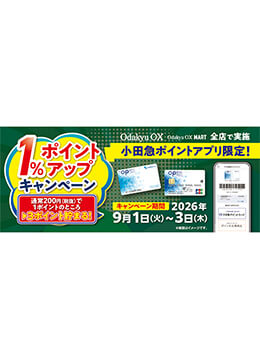 アプリユーザー限定のポイント企画を定期的に開催