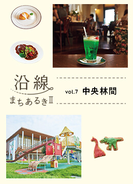 商業施設や自然にも恵まれる街・中央林間