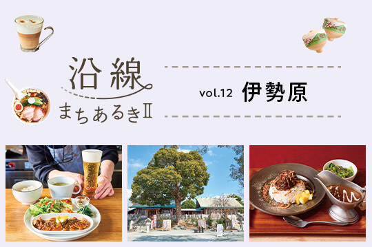 大山詣りの玄関口として栄え、自然と調和した街・伊勢原
