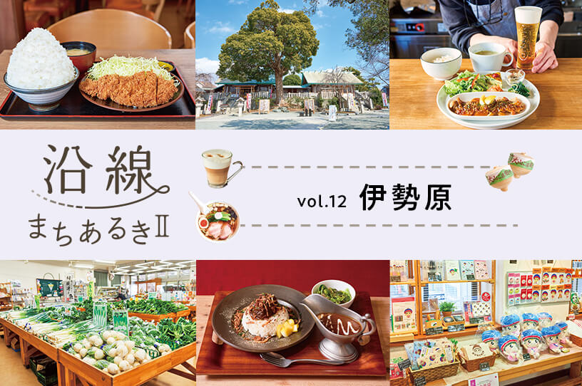 大山詣りの玄関口として栄え、自然と調和した街・伊勢原