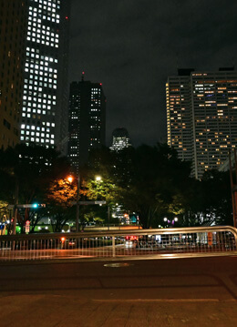 まばゆい夜景とグルメを楽しめる街・西新宿