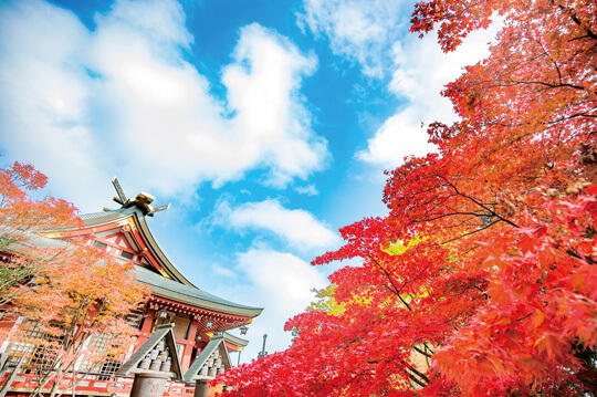 紅葉と食欲の秋 大山（おおやま）