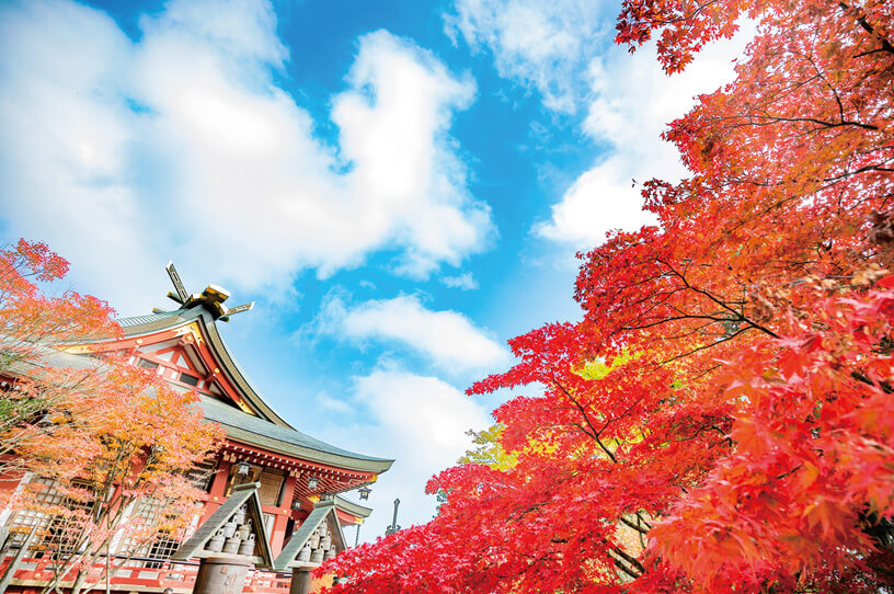 紅葉と食欲の秋 大山（おおやま）の画像