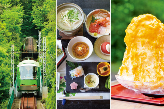 歴史と自然とグルメも 風情を楽しむ夏の大山