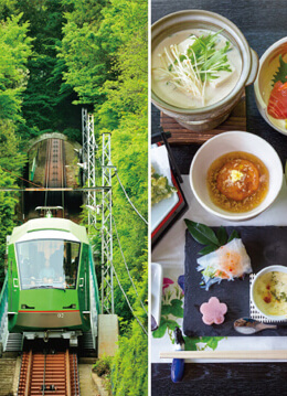 歴史と自然とグルメも 風情を楽しむ夏の大山