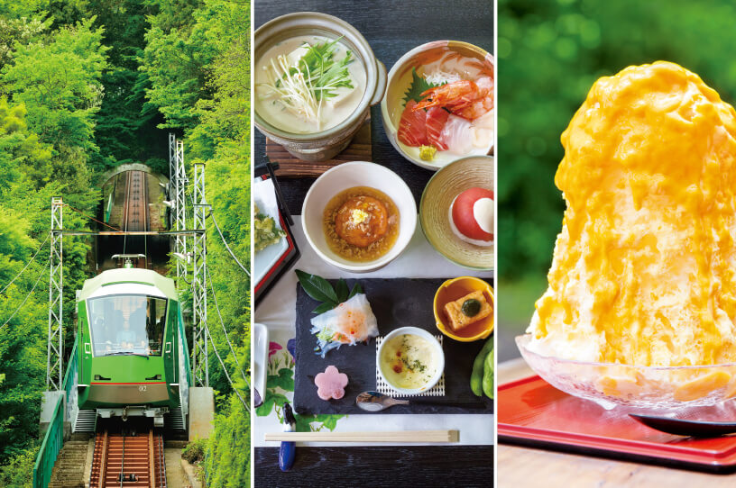 歴史と自然とグルメも 風情を楽しむ夏の大山の画像