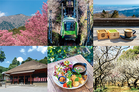 春の息吹と美味が待つ 日向・大山カフェさんぽ