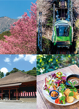 春の息吹と美味が待つ 日向・大山カフェさんぽ